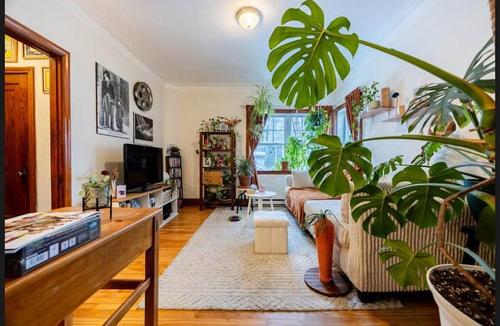 Appartement de 1 chambre à louer à Longueuil — photo 2