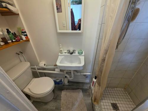 1 bedroom apartment for rent in Montreal - Rosemont–La Petite-Patrie — photo 3