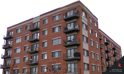 Appartement de 1 chambre à louer à Brossard — photo 4