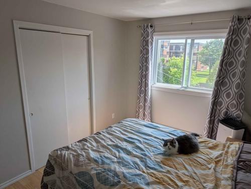 Appartement de 2 chambres à louer à Lévis — photo 6