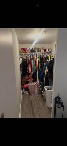 1 bedroom apartment for rent in Montreal - Le Plateau-Mont-Royal — photo 6