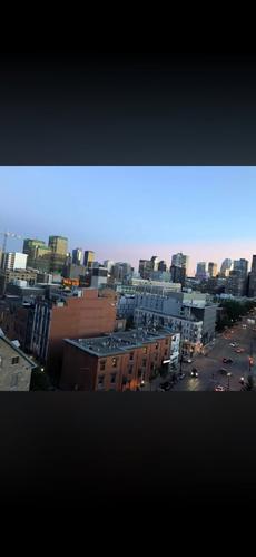 1 bedroom apartment for rent in Montreal - Le Plateau-Mont-Royal — photo 5