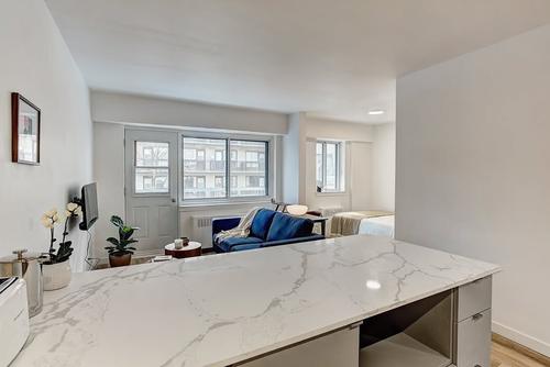 Studio for rent in Montreal - Le Plateau-Mont-Royal — photo 3