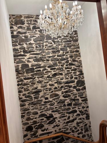 Appartement de 2 chambres à louer à Québec - La Cité-Limoilou — photo 8