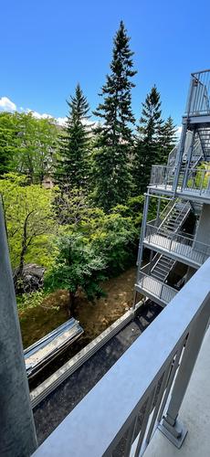 Appartement de 2 chambres à louer à Québec - La Cité-Limoilou — photo 10