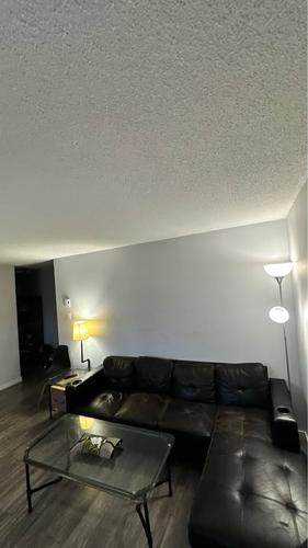 2 bedrooms apartment for rent in Gatineau — photo 5