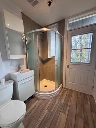 1 bedroom apartment for rent in Montreal - Le Plateau-Mont-Royal — photo 5