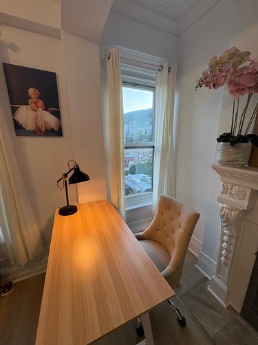 Appartement de 2 chambres à louer à Montreal - Le Plateau-Mont-Royal — photo 3
