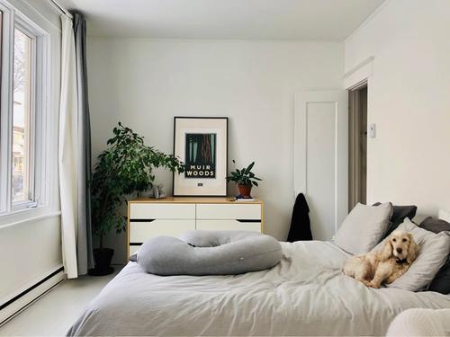 Appartement de 2 chambres à louer à Québec - La Cité-Limoilou — photo 6