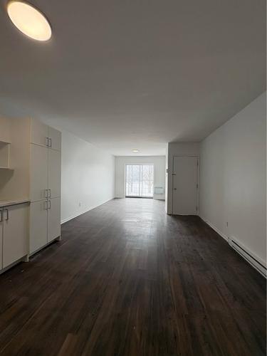 1 bedroom apartment for rent in Montreal - Rosemont–La Petite-Patrie — photo 3