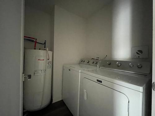 Appartement de 1 chambre à louer à Montreal - Le Plateau-Mont-Royal — photo 5