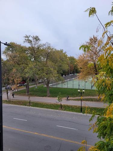 Appartement de 2 chambres à louer à Montreal - Le Plateau-Mont-Royal — photo 15
