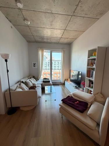 1 bedroom apartment for rent in Montreal - Ville-Marie — photo 13