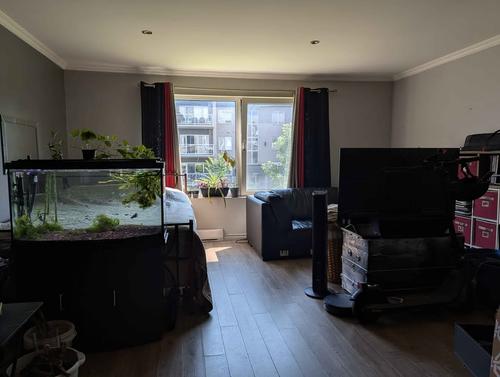Studio for rent in Québec - Charlesbourg — photo 2
