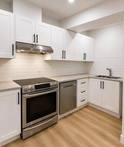2 bedrooms apartment for rent in Gatineau — photo 3