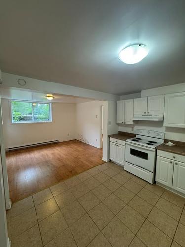 1 bedroom apartment for rent in Gatineau — photo 3