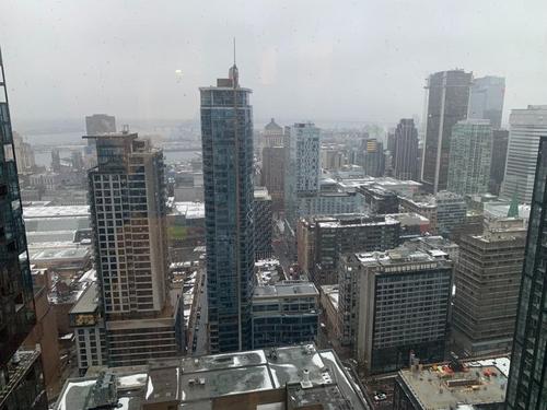 1 bedroom apartment for rent in Montreal - Ville-Marie — photo 11