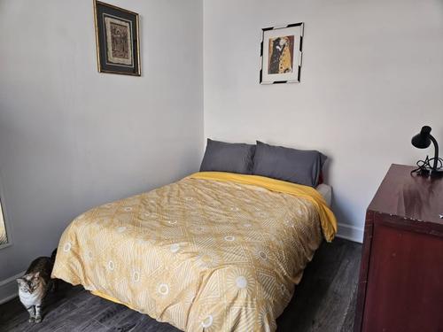 Studio à louer à Montreal - Mercier–Hochelaga-Maisonneuve — photo 5