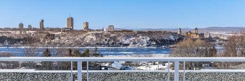 1 bedroom apartment for rent in Lévis — photo 16
