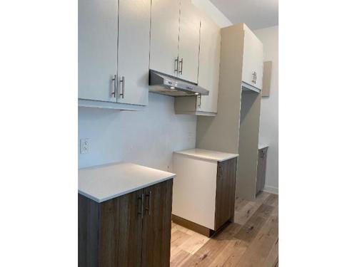 1 bedroom apartment for rent in Longueuil — photo 4