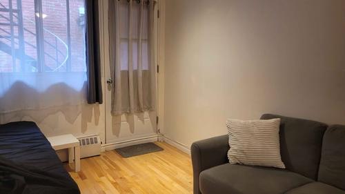 Studio for rent in Montreal - Le Plateau-Mont-Royal — photo 4