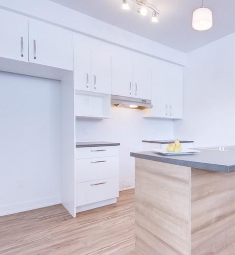 Appartement de 1 chambre à louer à Gatineau — photo 2