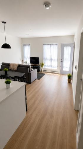 Appartement de 2 chambres à louer à Québec - La Cité-Limoilou — photo 4