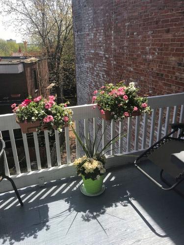 2 bedrooms apartment for rent in Montreal - Ville-Marie — photo 16