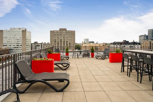 1 bedroom apartment for rent in Montreal - Ville-Marie — photo 11
