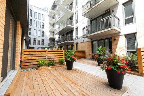 Appartement de 2 chambres à louer à Québec - La Cité-Limoilou — photo 7
