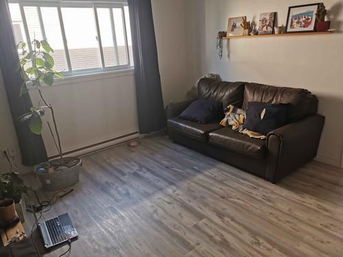 Appartement de 1 chambre à louer à Gatineau — photo 2
