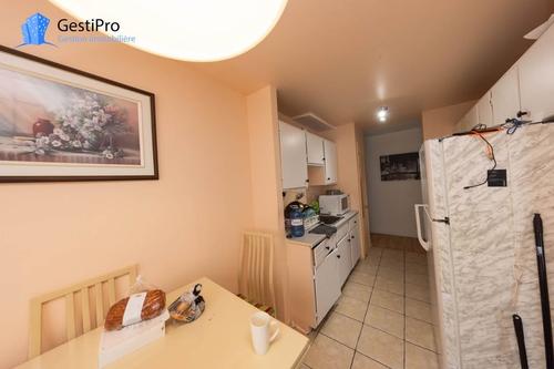 1 bedroom apartment for rent in Lévis — photo 7