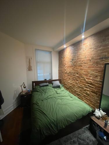 Appartement de 2 chambres à louer à Montreal - Le Plateau-Mont-Royal — photo 3
