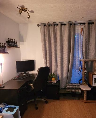 Appartement de 1 chambre à louer à Sherbrooke — photo 4