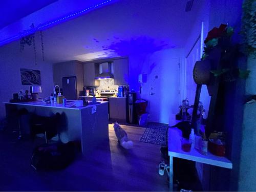 Appartement de 2 chambres à louer à Québec - Les Rivières — photo 6