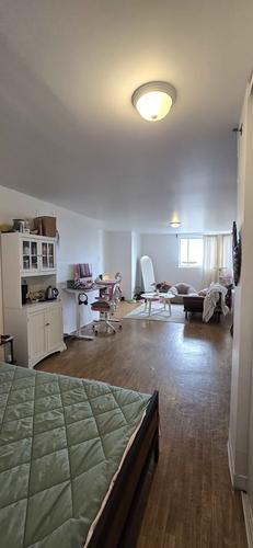 1 bedroom apartment for rent in Montreal - Rosemont–La Petite-Patrie — photo 6