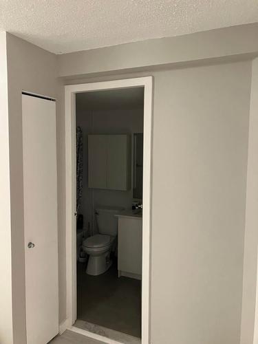1 bedroom apartment for rent in Montreal - Ville-Marie — photo 15