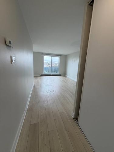 Appartement de 1 chambre à louer à Gatineau — photo 2