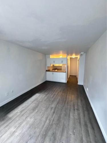 Appartement de 1 chambre à louer à Montreal - Le Plateau-Mont-Royal — photo 4