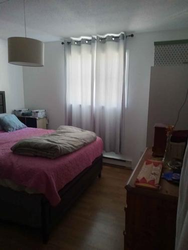 Appartement de 2 chambres à louer à Gatineau — photo 2