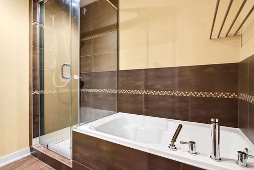 1 bedroom apartment for rent in Montreal - Rosemont–La Petite-Patrie — photo 3
