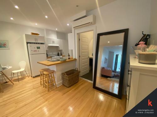 1 bedroom apartment for rent in Montreal - Le Plateau-Mont-Royal — photo 4