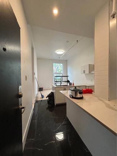 Appartement de 2 chambres à louer à Montreal - Le Plateau-Mont-Royal — photo 2