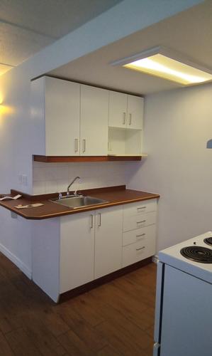 1 bedroom apartment for rent in Québec - La Cité-Limoilou — photo 3