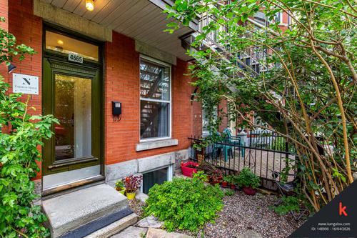 Appartement de 2 chambres à louer à Montreal - Le Plateau-Mont-Royal — photo 11
