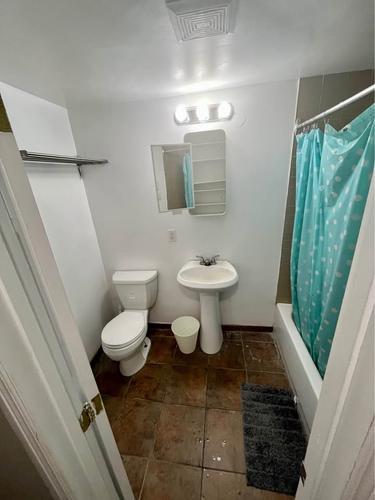 1 bedroom apartment for rent in Montreal - Le Plateau-Mont-Royal — photo 4