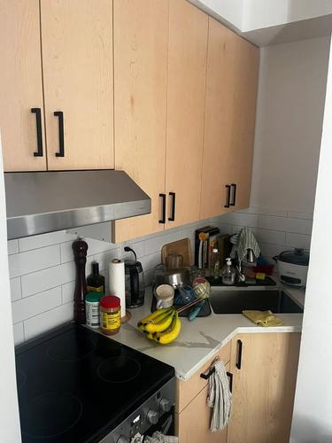 Appartement de 1 chambre à louer à Montreal - Le Plateau-Mont-Royal — photo 9