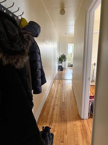 1 bedroom apartment for rent in Montreal - Le Plateau-Mont-Royal — photo 4