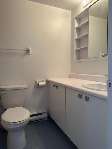1 bedroom apartment for rent in Montreal - Le Plateau-Mont-Royal — photo 2