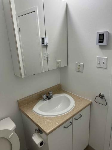 2 bedrooms apartment for rent in Montreal - Le Plateau-Mont-Royal — photo 7